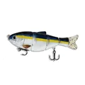 Color 10 Swimbait