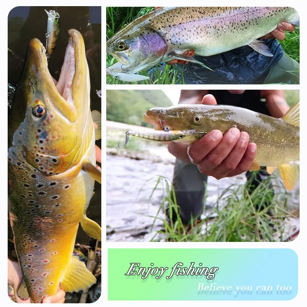 Minnow D1 Señuelo lucio Wobbler duro – hundimiento y suspendido - imagen 2