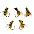 20Pcs
