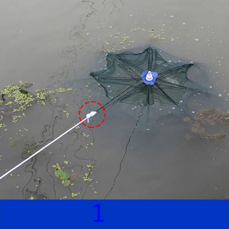 Sombrilla automática para Pesca, jaula plegable para camarones, cangrejos y peces trampa para, de 6 a 24 agujeros - imagen 5