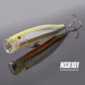 NSB101