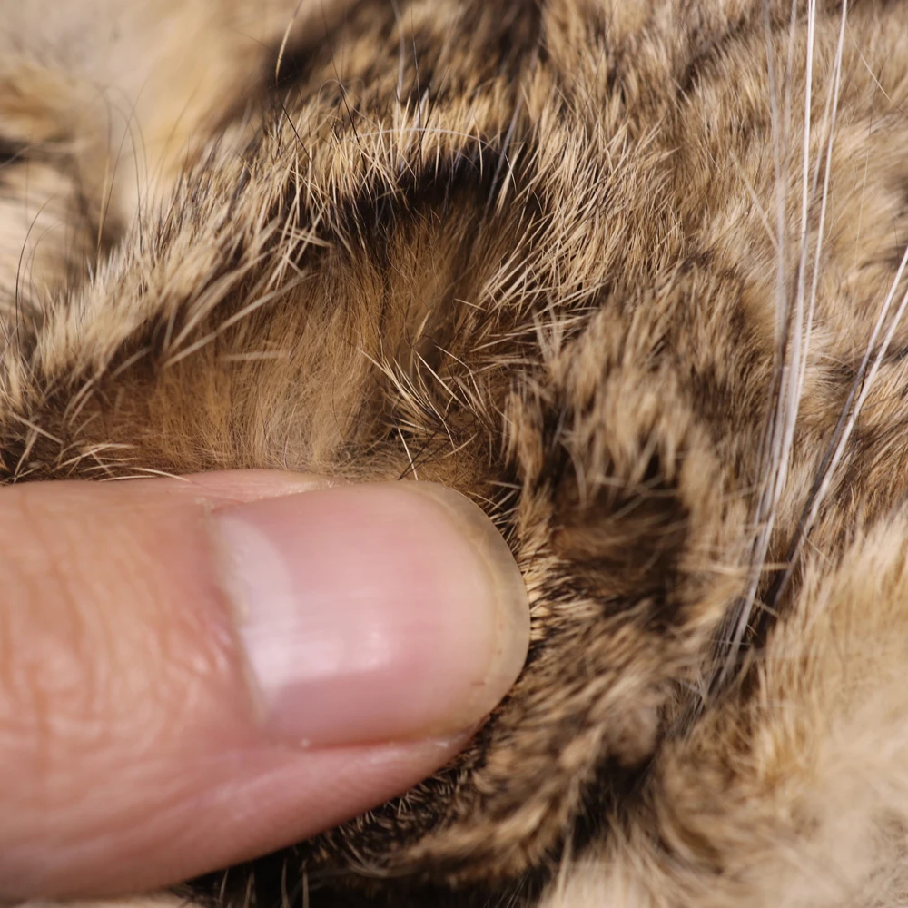 ICERIO-Máscara de liebre Natural, Material de atado de moscas de pesca, Nymph Caddis, moscas húmedas y secas, anzuelo de fibras de doblaje, señuelos - imagen 5