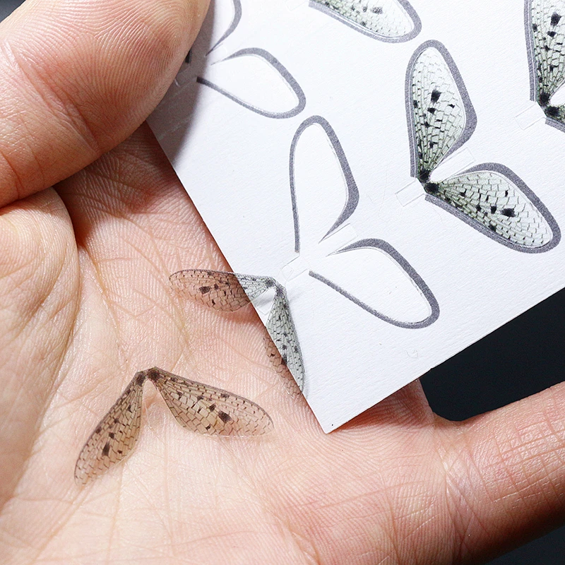 Royal Sissi-Juego de 80 Uds. De alas mayfly realistas precortadas súper finas para adultos, materiales finos y flexibles para atar moscas para Señuelos de pesca de trucha - imagen 3