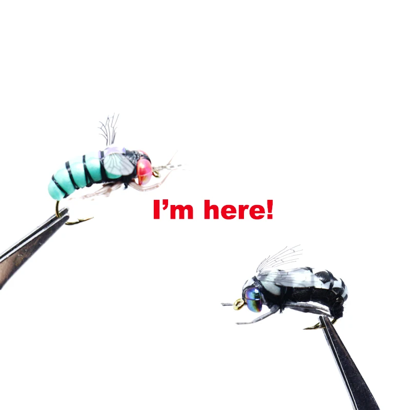 Royal Sissi-Cuentas holográficas 3D de ojo de libélula, materiales para atar moscas, 40 unidades - imagen 4