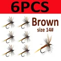 Brown 6PCS