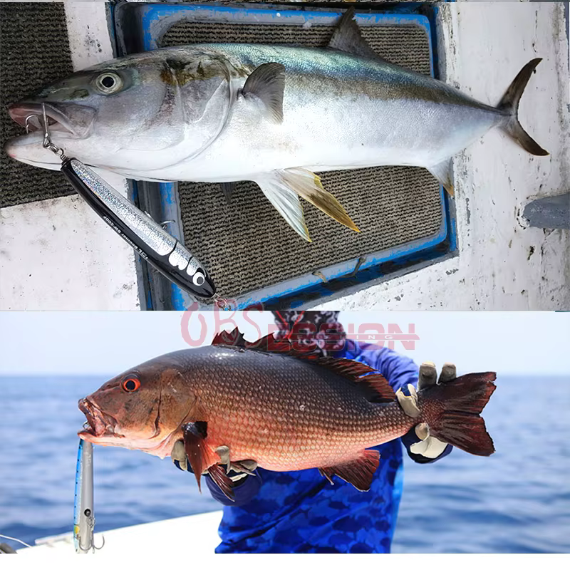 Señuelo Lápiz Gamma Madera – Topwater Arrastre Superficie Barco - imagen 5