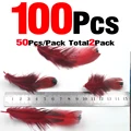 100Pcs