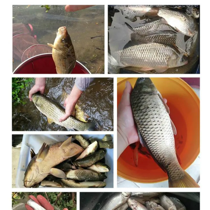 Línea de pesca de roca de nailon, 50m, 0,08 #-6,0 #, línea de fluorocarbono, superfuerte, hundimiento, 0,10-0,40mm, accesorios de pesca - imagen 4