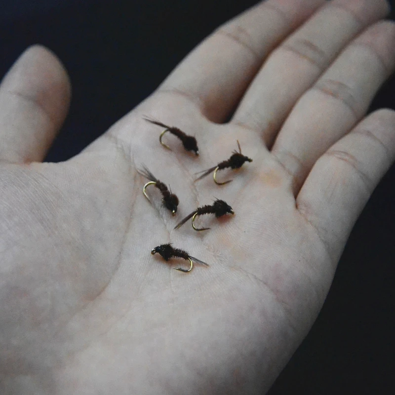 CONTEMPLADOR 5 piezas 14 #   Faisan Tail Ninfa mosca atando moscas truta marrón/arcoíris excelente imitación baetis o ninfas caddis vuelan cebos - imagen 4