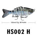 HS002 H