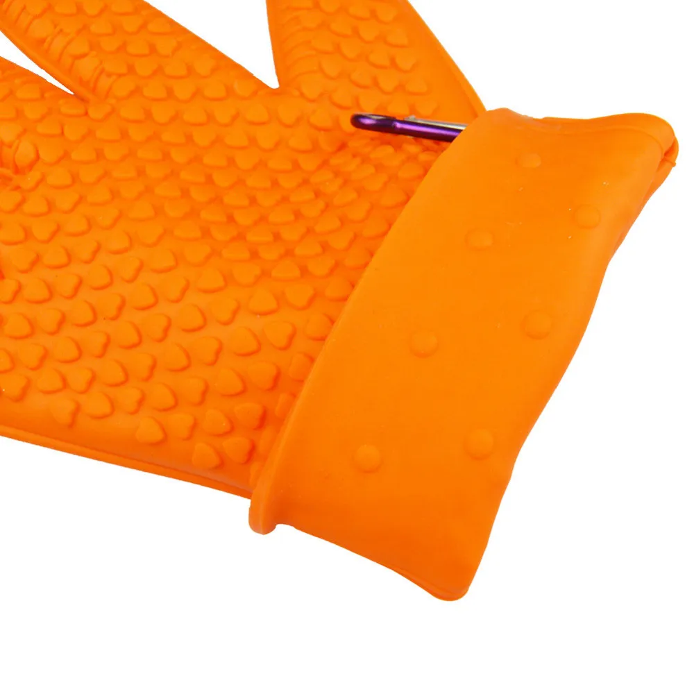 3362812261_1351293536