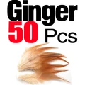 50Pcs Ginger