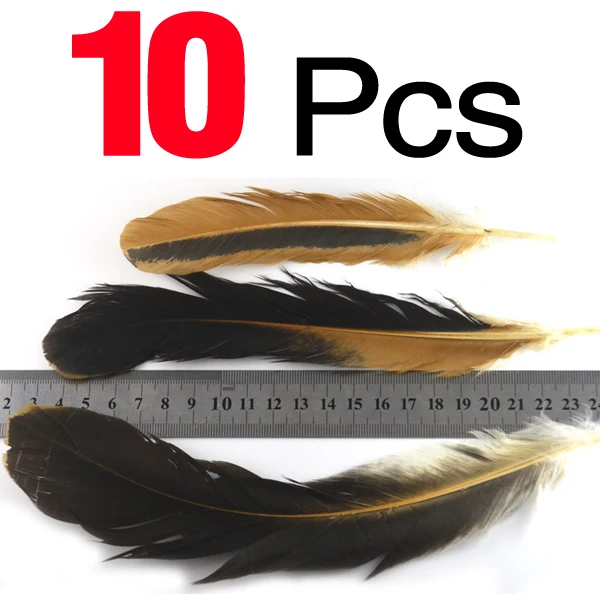10Pcs