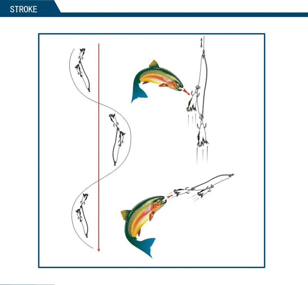 Un diagrama que ilustra el concepto de brazada en el contexto de la pesca. Representa un pez, presumiblemente una trucha, saltando del agua para atrapar una mosca. El diagrama está dividido en tres partes, cada una de las cuales muestra una etapa diferente del movimiento del pez:

1