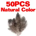 Natural Color 50pcs
