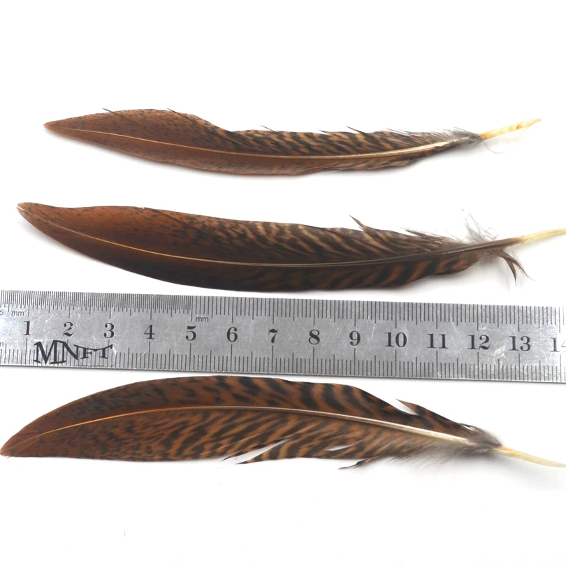 MNFT 5 uds Color marrón Natural negro Pluma atado de moscas Material de cola de ala 10 ~ 15cm de longitud para cebo de insectos artificiales - imagen 3