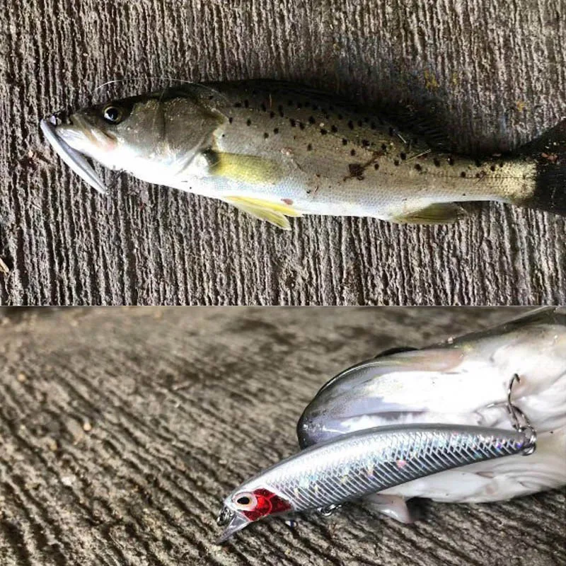 Señuelo de pesca duro Crankbait Artificial, Mini Japon wobler na ryby popper, aparejos de pesca, 65mm, 5g, 1 ud. - imagen 2