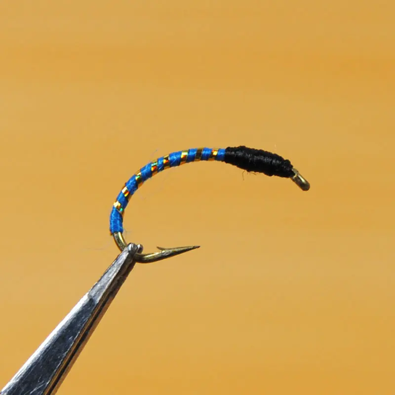 Black Head Blue Body