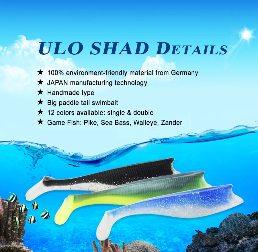 ulo shad 1