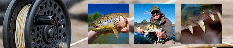 Experimente la emoción de la pesca con mosca con esta guía completa