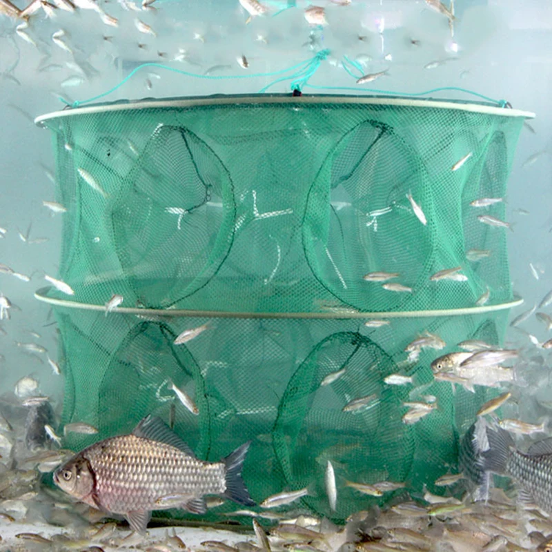 Trampa automática para pesca con mosca, jaula de doble capa con 15 agujeros para camarones, cebos de cangrejo, Schepnet Minnow, malla fundida, herramientas T4 - imagen 3