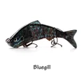 Bluegill