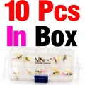 10pcs in box