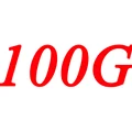 100g
