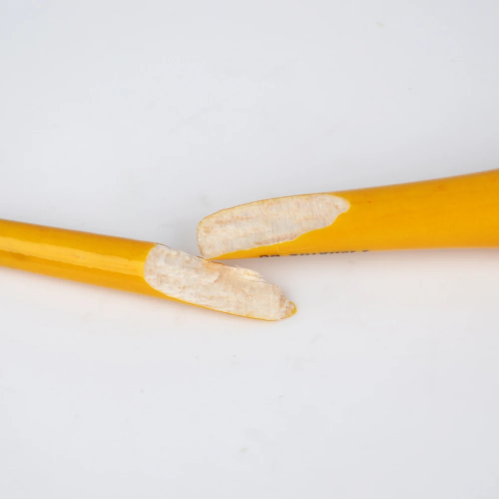 NGB 10 Uds Barguzinsky flotador de pesca de abeto palo de luz noche 1g 3g 4g 5g 6g 8g 12g 16g 20g boya flotador accesorio de pesca de carpa - imagen 4