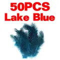 50pcs lake blue