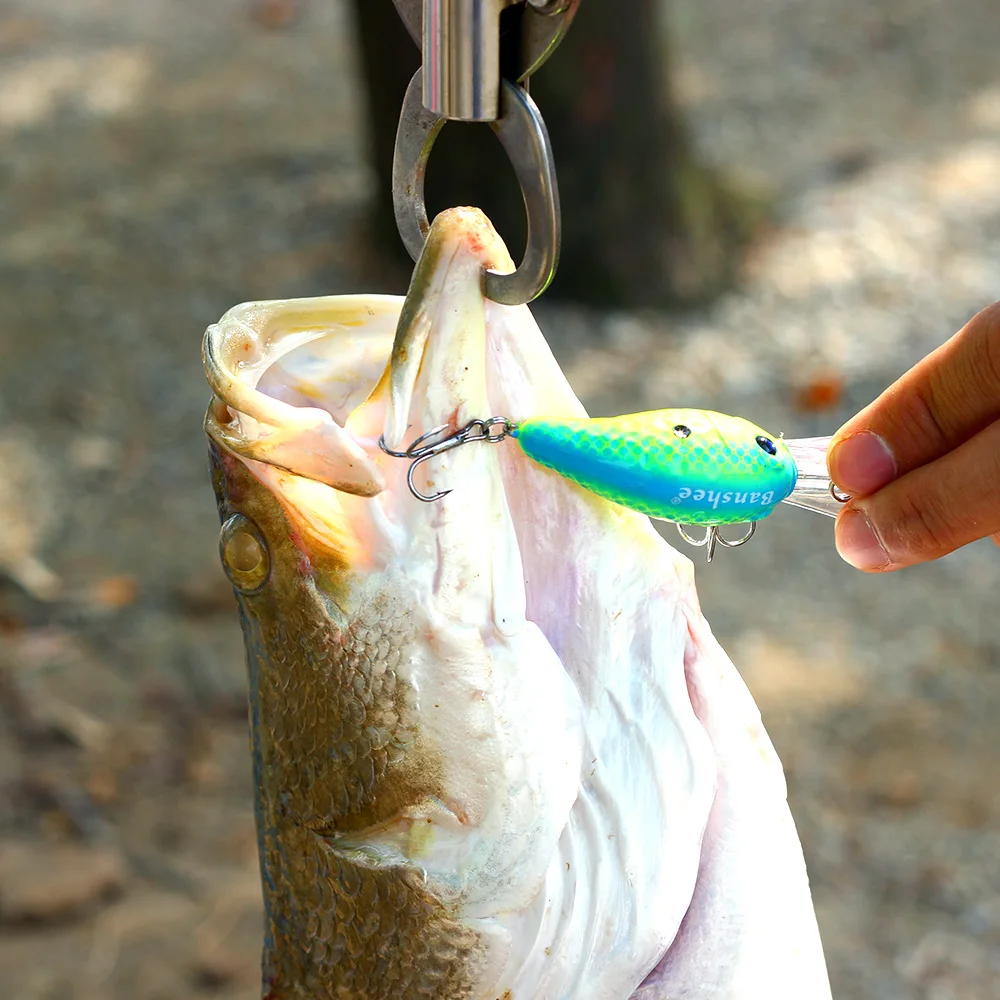 Banshee-señuelo de pesca de lubina flotante, 50mm, 10g, VC04, sonajero de sonido, Wobbler de pico redondo, cebo duro Artificial, Crankbaits de buceo profundo