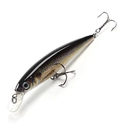 Señuelo de pesca flotante, cebo duro de 10cm, 12g, ojo 3D, Jerkbait, Wobblers, Crankbaits, Twitching
