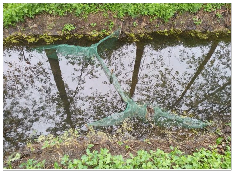 Finefish-red de pesca automática plegable, señuelo de pesca de cangrejo, langosta, camarón, pececillo, Red de aterrizaje - imagen 4