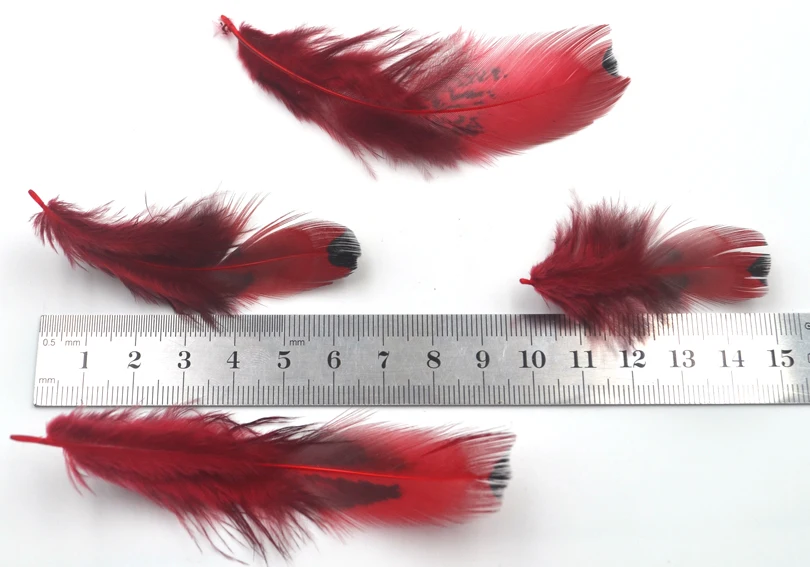 MNFT 50 unids/lote de plumas de faisán rojo Natural con Material de atado de moscas de punto grande para Señuelos de Pesca de longitud de aproximadamente 4-8cm - imagen 3