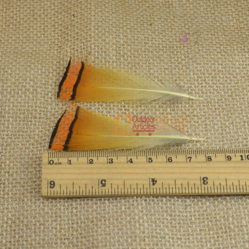 MNFT 50 Uds. Señuelos de pesca con mosca, Material de atado de moscas Natural, plumas de faisán dorado Real, venta al por mayor - imagen 3