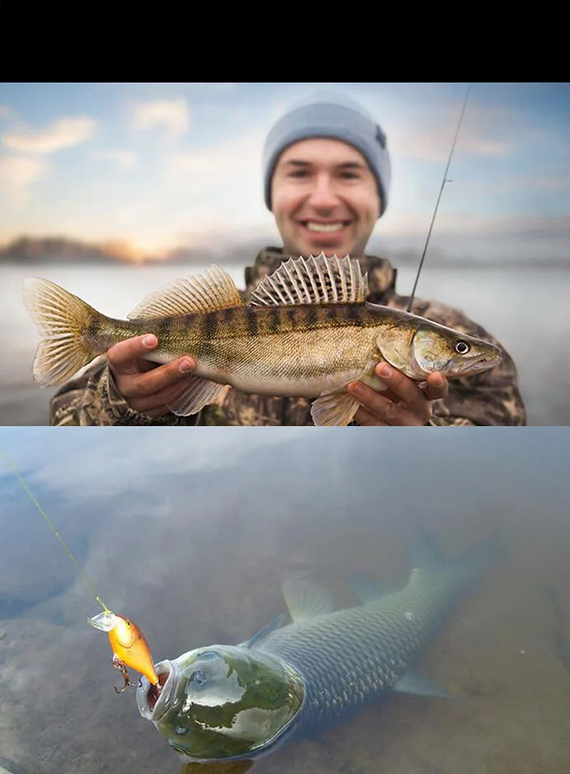 ¡Experimenta la emoción de la pesca con esta impresionante captura!