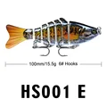 HS001E