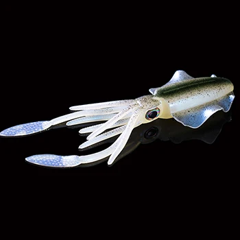 20g squid lure D