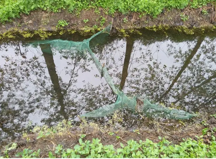 Pescado fino plegable automático de red de pesca de cangrejo pescado langosta camarones Minnow cebo de pesca red de aterrizaje de pescar red trampa atraer - imagen 3