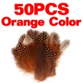 50pcs orange color