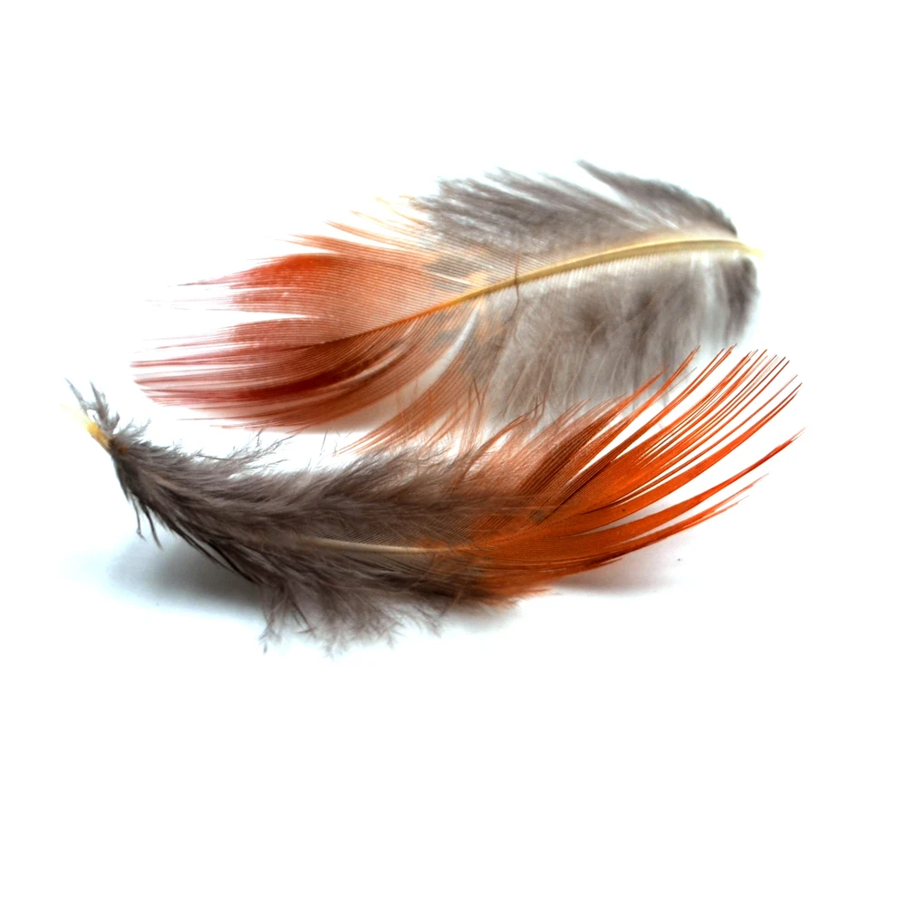 MNFT 40 Uds señuelo de pesca con mosca pluma de faisán Natural DIY ninfas serpentinas moscas accesorios Material de empatando de mosca - imagen 3