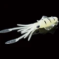 20g squid lure C