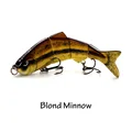 Blond Minnow