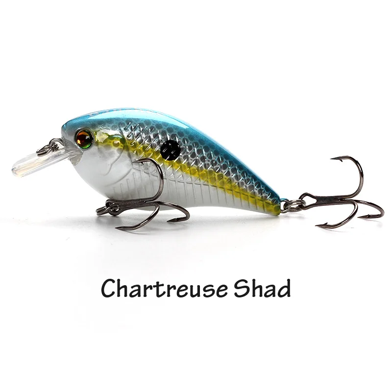Chartreuse Shad