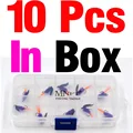 10Pcs In Box