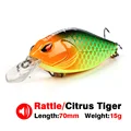 Citrus Tiger 211