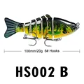 HS002B