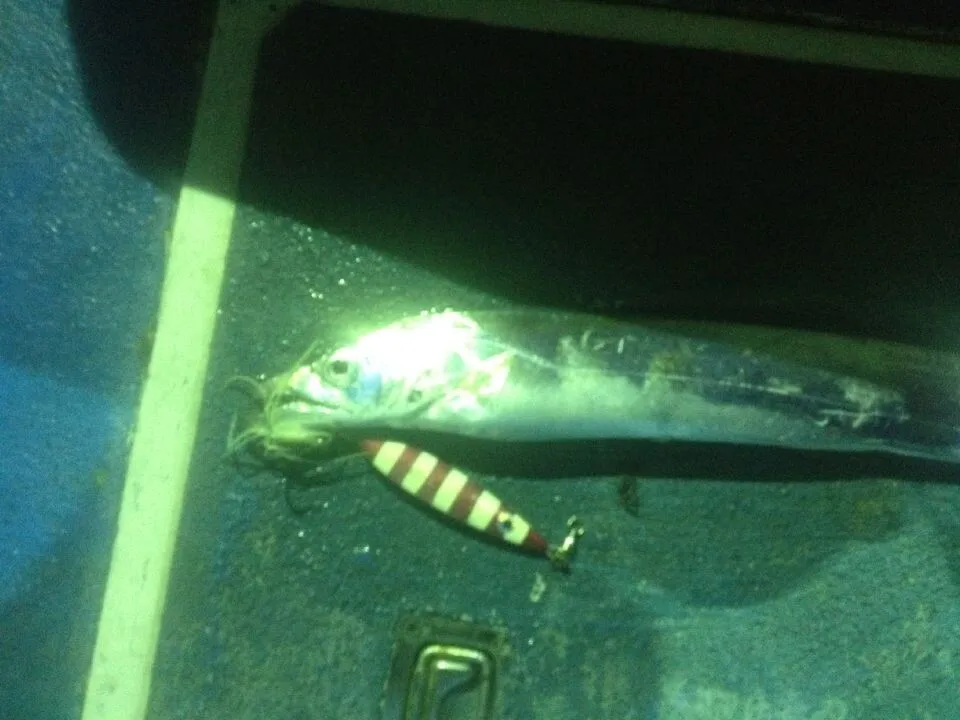 Señuelo de pesca Jigbait luminoso 60g 80g que brilla en la costa oscura señuelos artificiales de fundición larga Jigs cebos 1 pieza en oferta - imagen 2