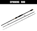 spinning rod