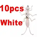 White 10PCS
